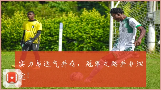 实力与运气并存,冠军之路并非坦途!