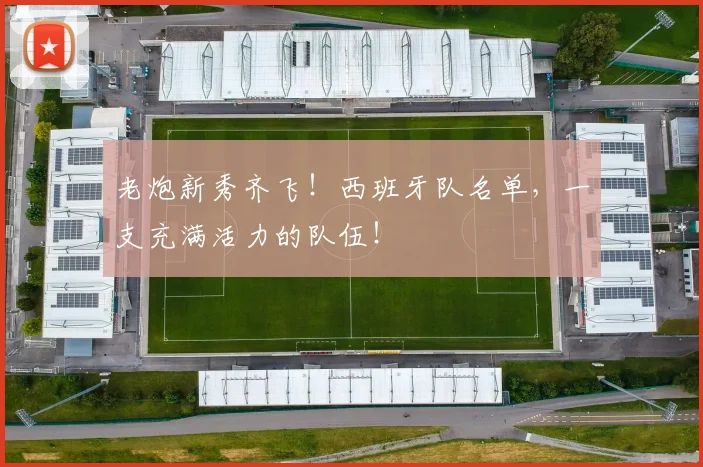 老炮新秀齐飞!西班牙队名单,一支充满活力的队伍!